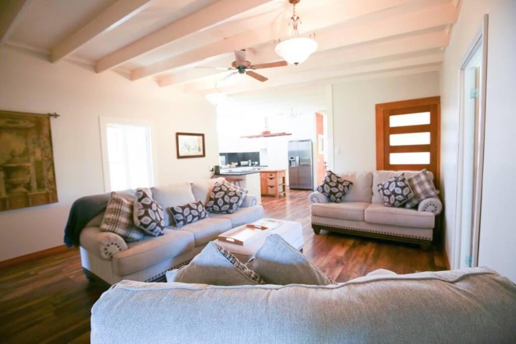 Bridgecroft House - Spacious & Serene Family Home リッチモンド エクステリア 写真